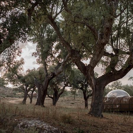Finca El Cortinal Valencia de Alcántara Buitenkant foto