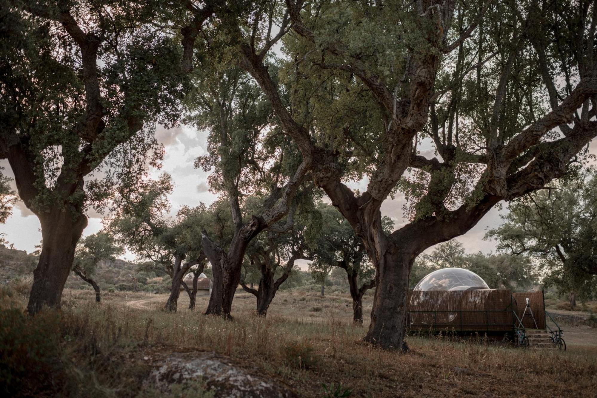 Finca El Cortinal Valencia de Alcántara Buitenkant foto